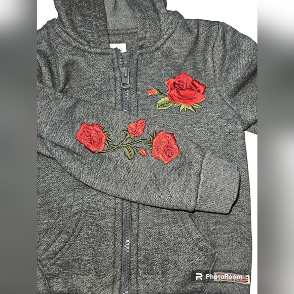 Hudson Boys 3T Hoodie Rose Stitching Gray - Picture 2 of 4